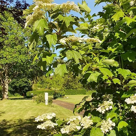 Kemping Onlycamp Port Sainte Marie Malicorne-sur-Sarthe