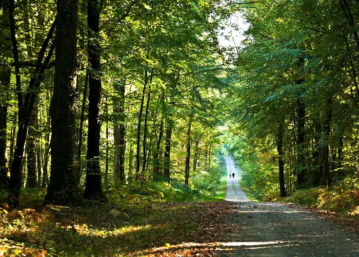 Onlycamp Port Sainte Marie Malicorne-sur-Sarthe